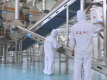 2025年的第一个月，承德亚欧果仁有限公司在山杏产业的道路上持续奋进，展现出蓬勃的发展活力。